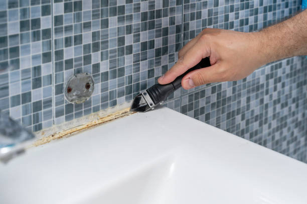Best Local Mold Removal Service  in Macarthur, WV