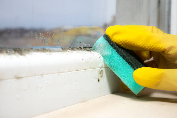 Water Damage Restoration in Macarthur, WV